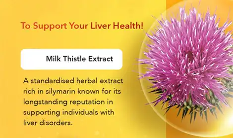 Milk Thistle Extract vs Silymarin: Key Differences Explained